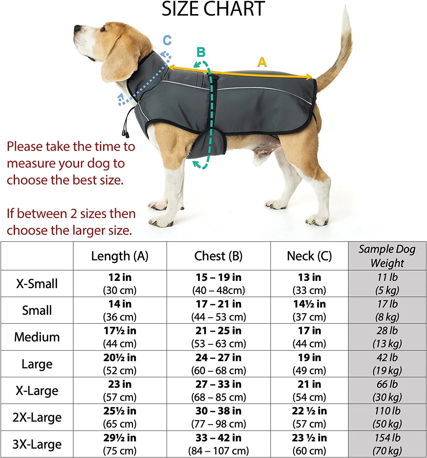 Dog Winter Coat with Smart Heat-Reflective Insulation Medium