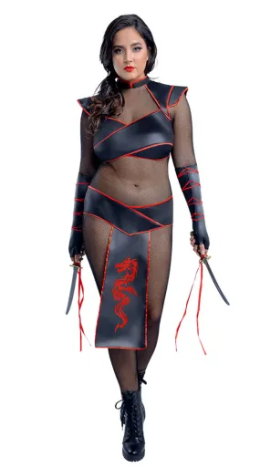 Plus Size Alluring Assassin Costume