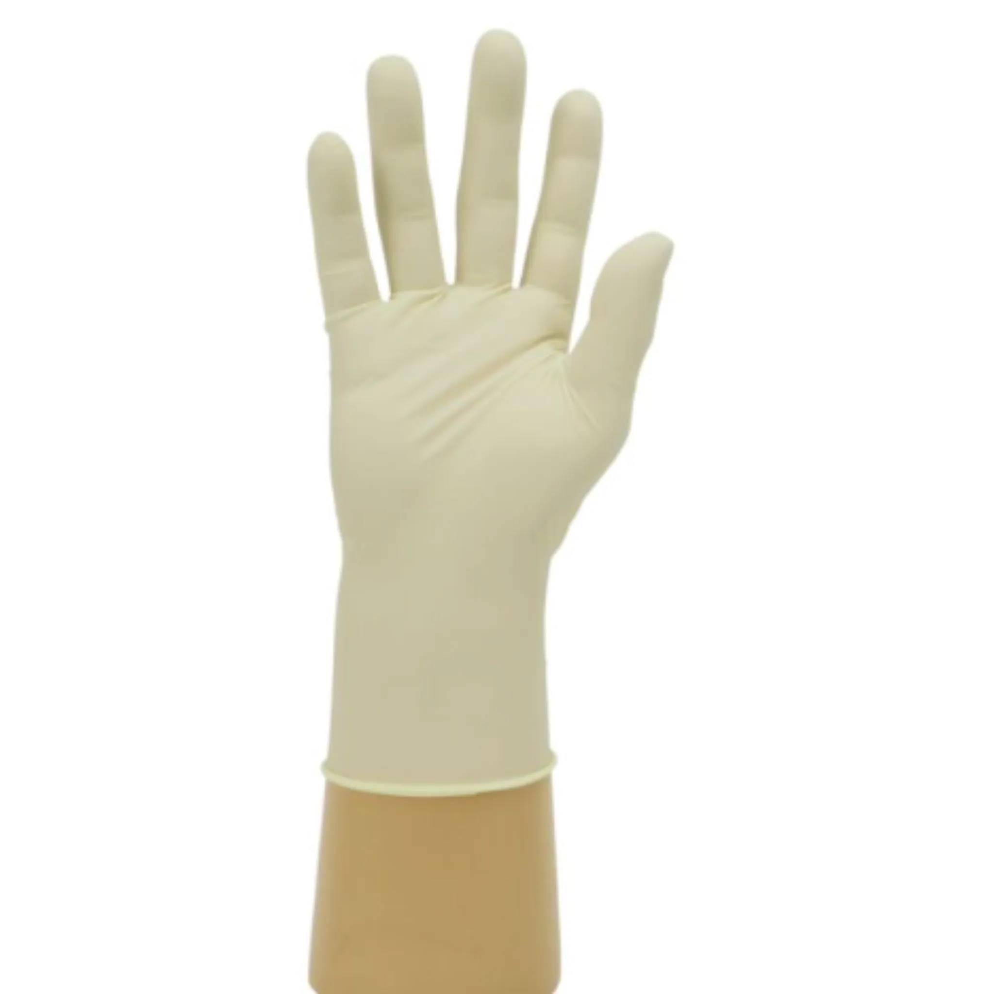 Shield Powder Free Disposable Latex Gloves GD05